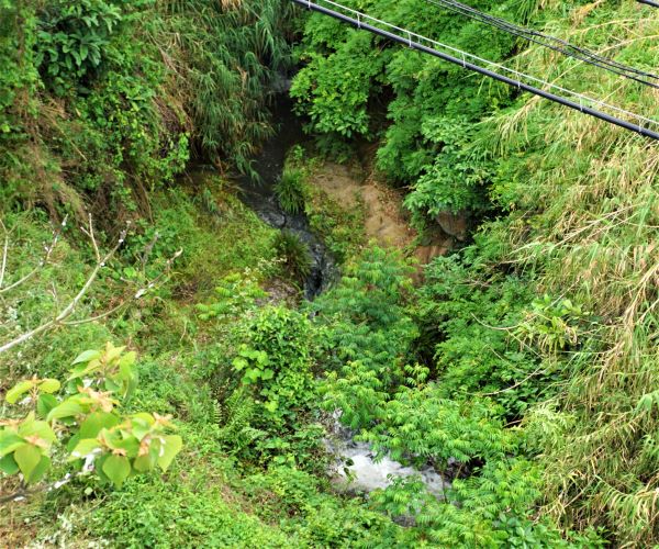 兵庫県道71号線4