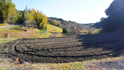 素掘りトンネル17