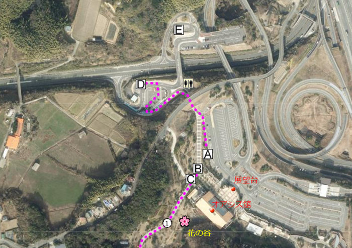 ニジゲンノモリ2