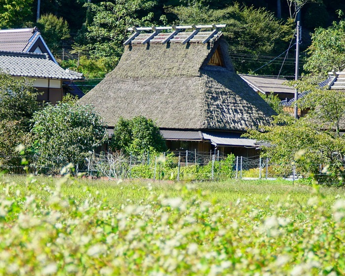 美山かやぶきの里9