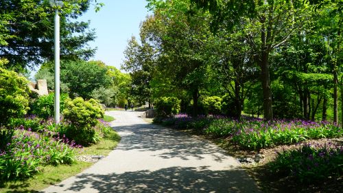 国営明石海峡公園25