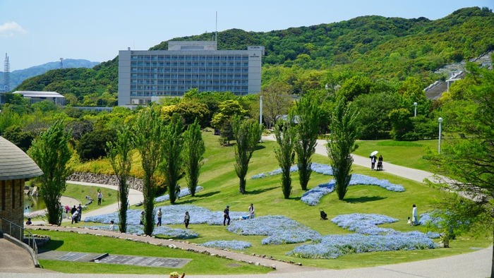国営明石海峡公園3