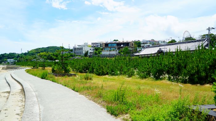 岩屋海水浴場23
