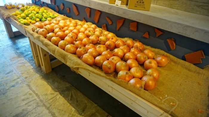 野島断層保存館8