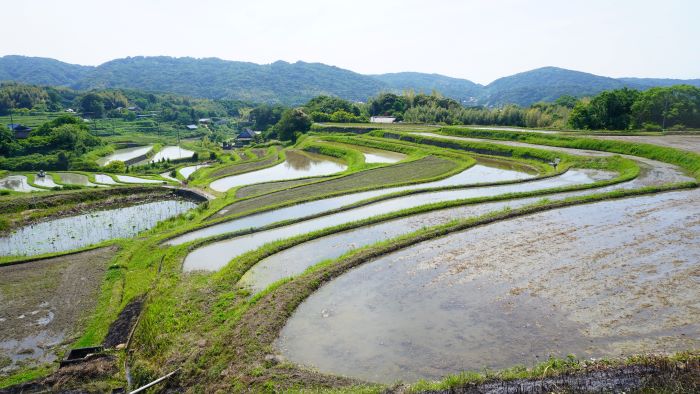 そばカフェ生田村12