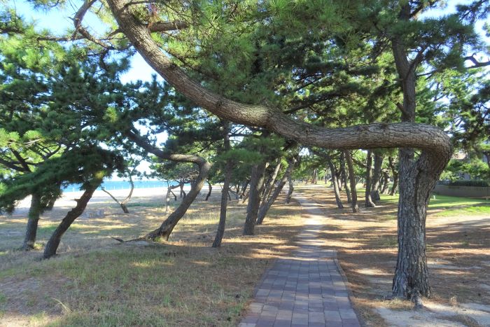 プロポーズ街道09