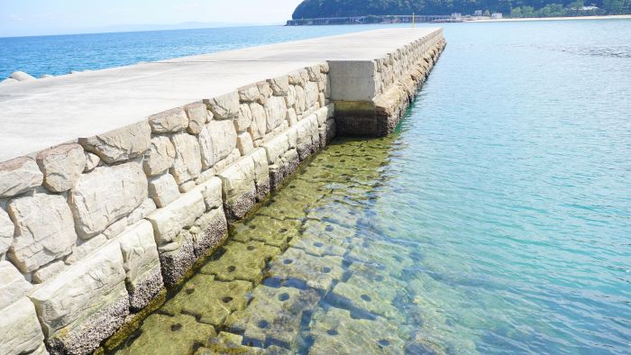 洲本港白灯大波止6