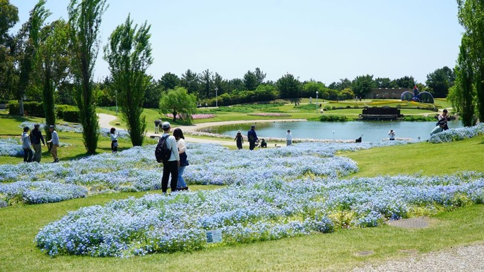国営明石海峡公園10