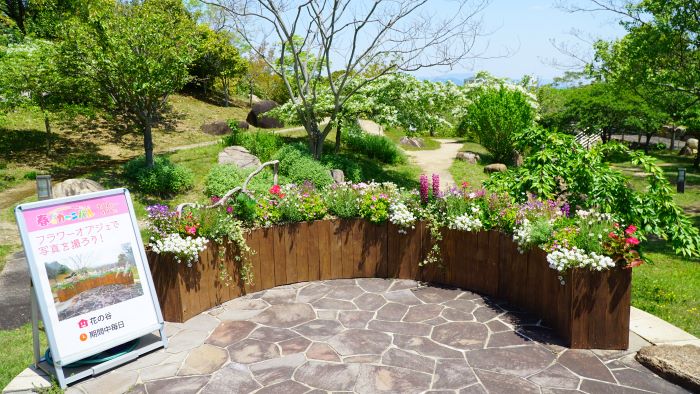 国営明石海峡公園28