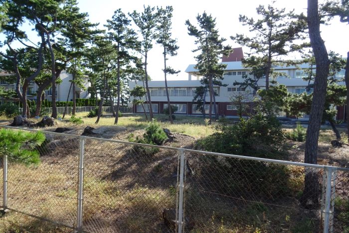 プロポーズ街道02