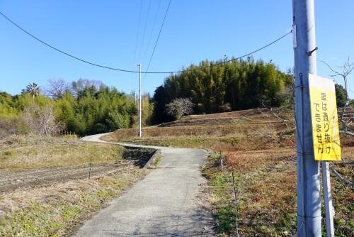 素掘りトンネル3