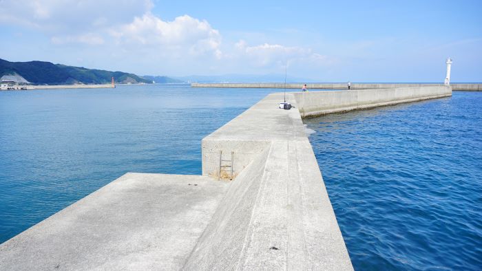 洲本港白灯大波止16