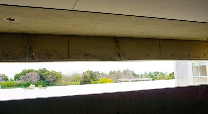 グランドニッコウ淡路29