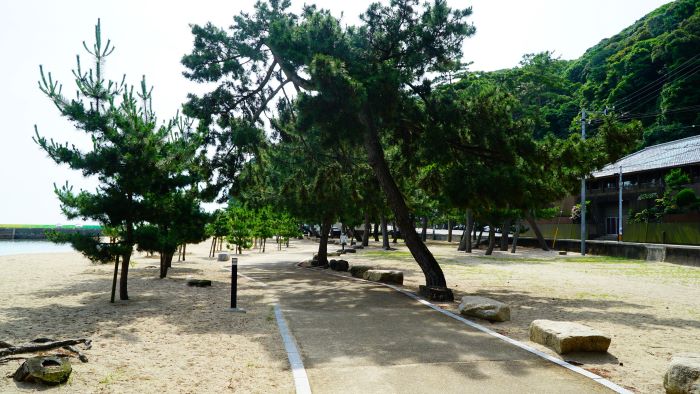 大浜海水浴場46