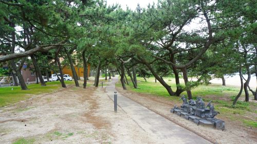 慶野松原海水浴場14