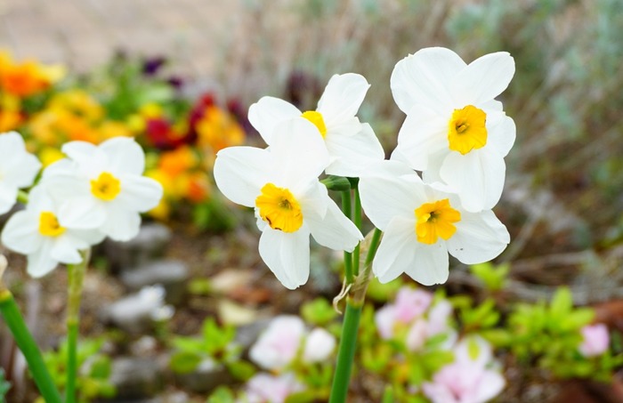 淡路ハイウェイオアシス23