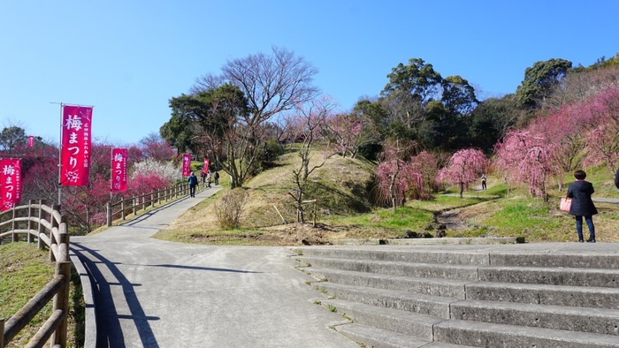 広田梅林ふれあい公園7