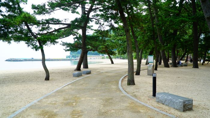 大浜海水浴場27