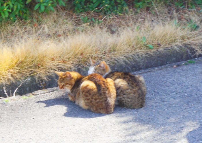 東浦サンパーク22