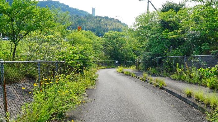 緑パーキングエリア24