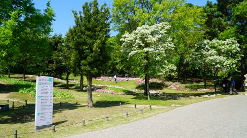 国営明石海峡公園10