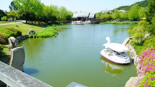 国営明石海峡公園18