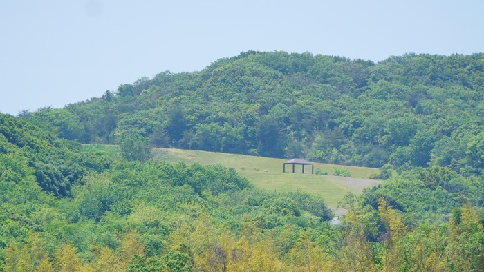 淡路島公園5