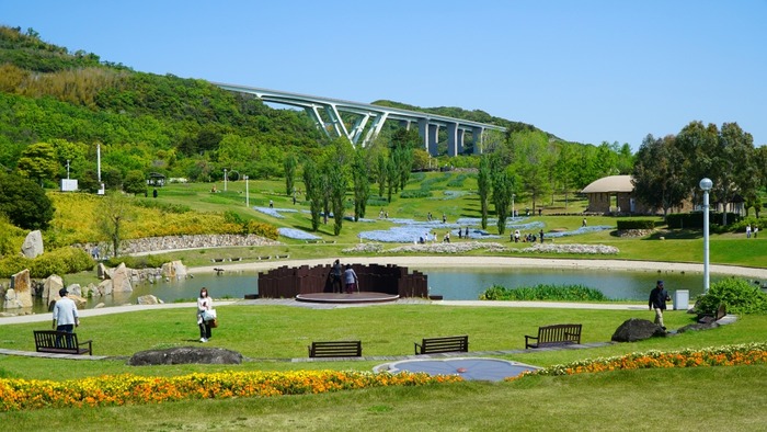 国営明石海峡公園22