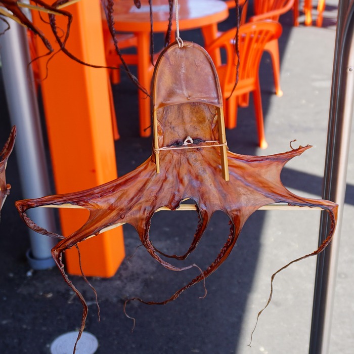 しゃんとこ市場16