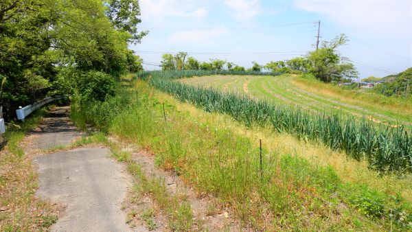 兵庫県道71号線18