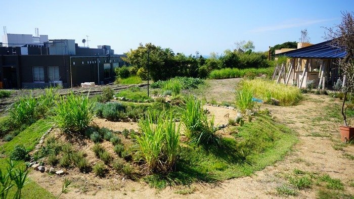 北淡震災記念公園7