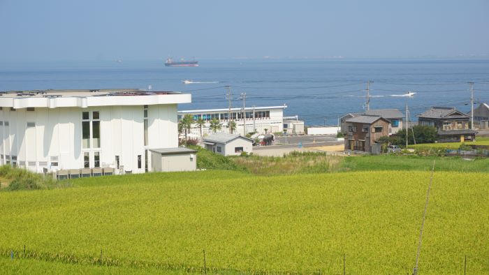 野島断層14