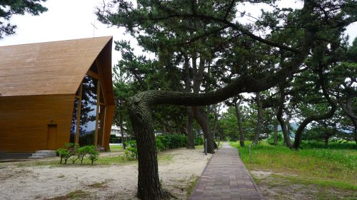 慶野松原海水浴場15