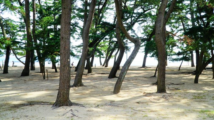 大浜海水浴場10