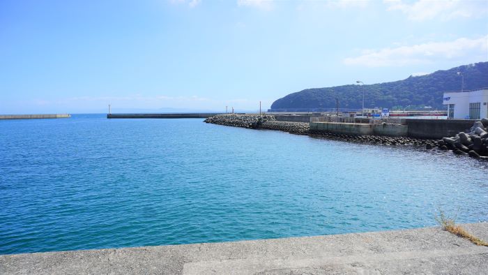 洲本ポートターミナル19