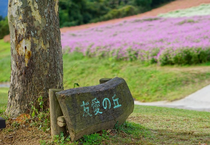 あわじ花さじき7