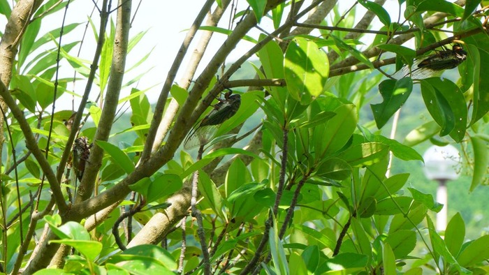 ららウォーク15