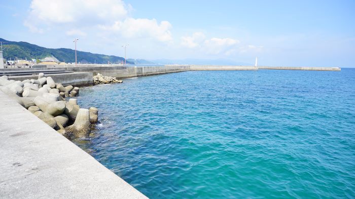 洲本港白灯大波止10