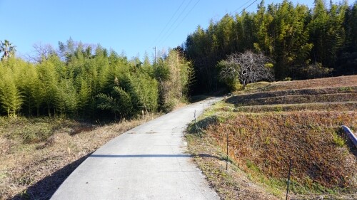 素掘りトンネル5