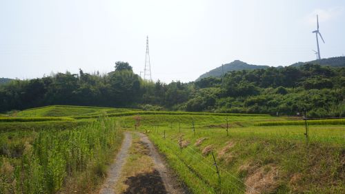 野島断層9