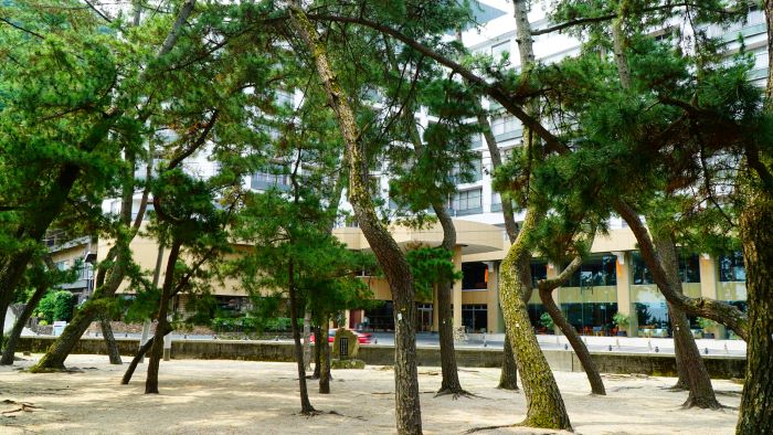 大浜海水浴場29