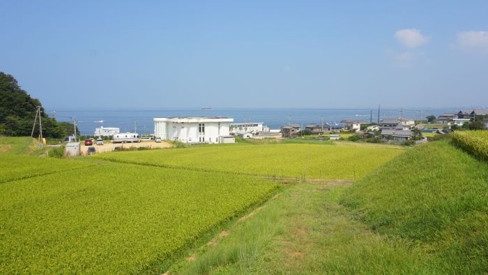 野島断層12