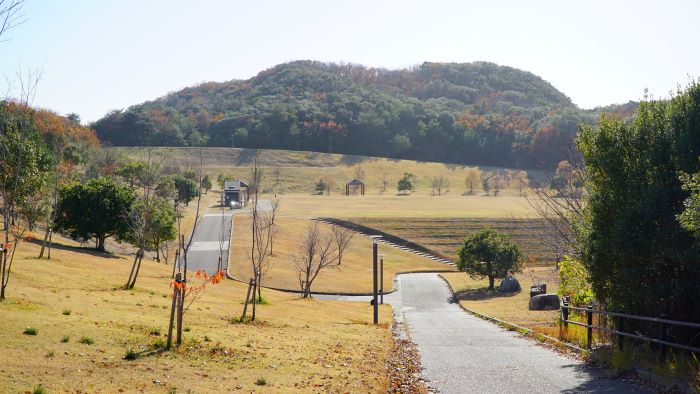 子午線ライン18