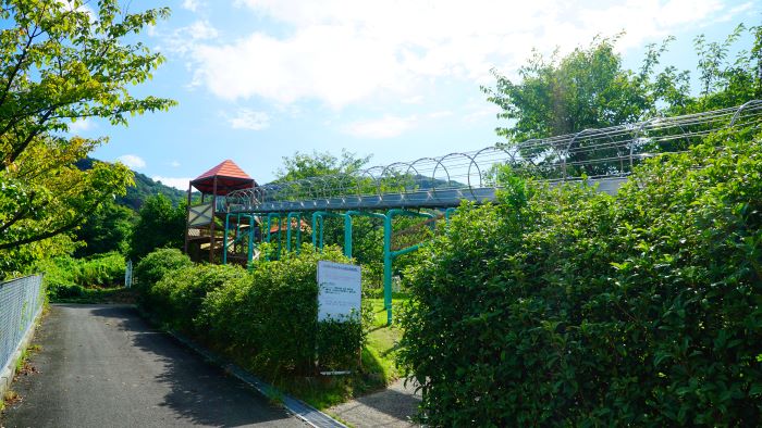 パルシェ香りの館5