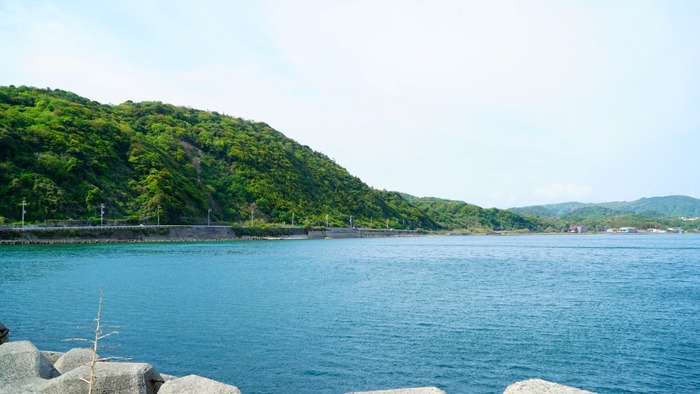 カリコリゾート5