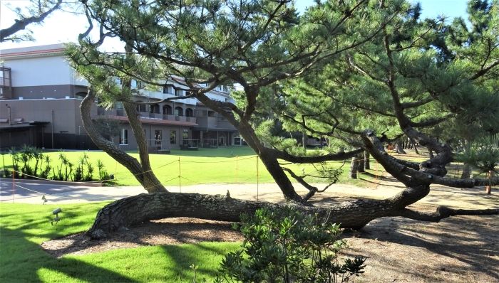 プロポーズ街道17