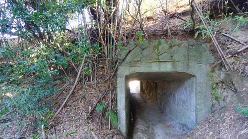 素掘りトンネル8