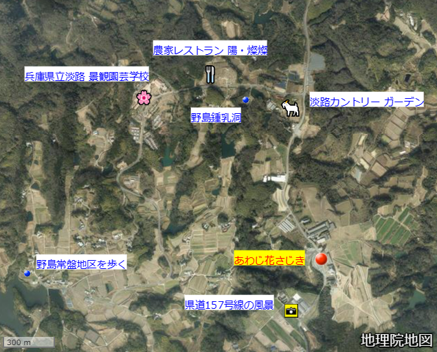 あわじ花さじき52