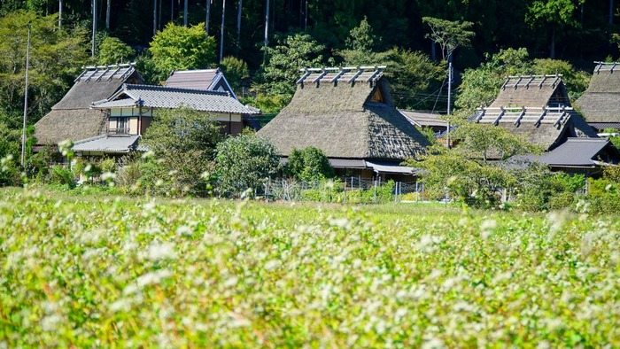 美山かやぶきの里8