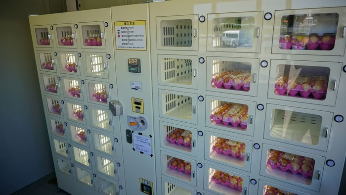 しゃんとこ市場11